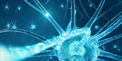 Sarcoidosis And Multiple Sclerosis: Differences And Similarities